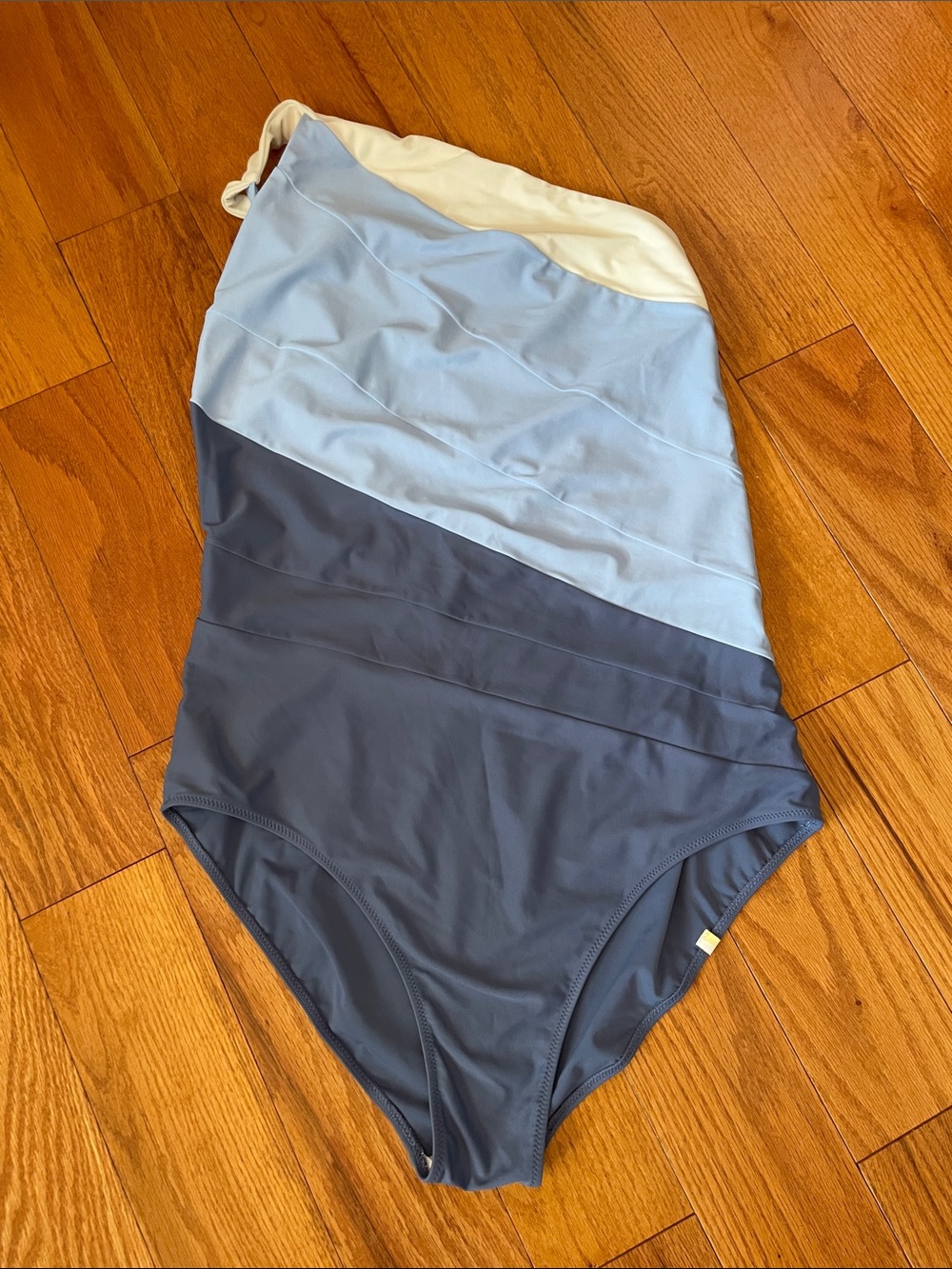 SummerSalt 18 LT long torso Colorblock One-Piece Swimsuit